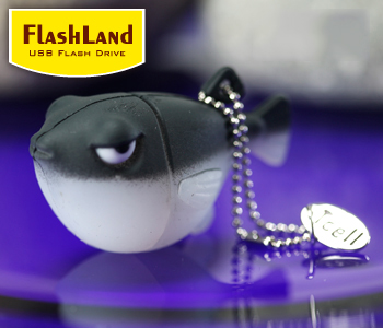 Flash Land - Fisher